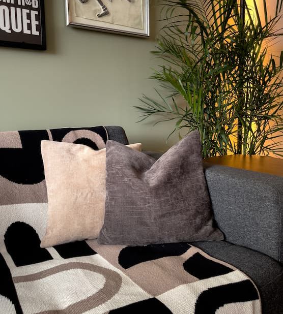 Close-up view of the seating area with gray upholstered sofa, decorative pillows, black and white geometric throw blanket, palm plant in the corner, and framed artwork on the wall